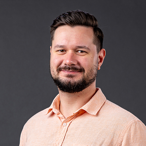 فلاديسلاف ميتكين