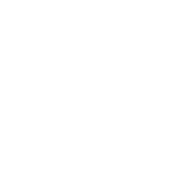 Maksym Bekuzarov, Snap Inc.